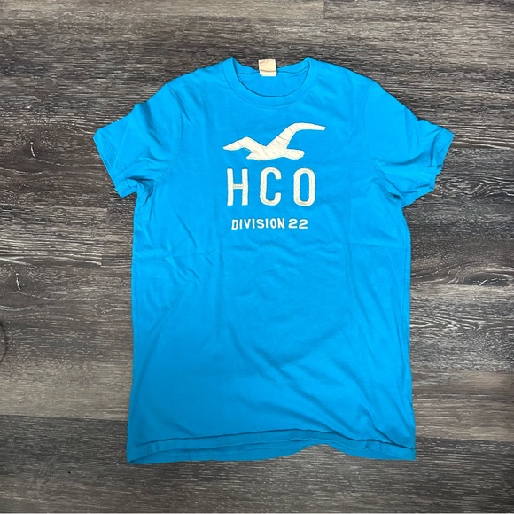 Blue Hollister Short Sleeve Cotton T Shirt Size Large - Picture 3 of 11